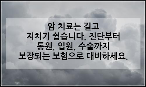 오늘의 이미지