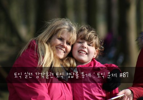 토익 실전 감각훈련 토익 정답률 통계 : 토익 문제 #187