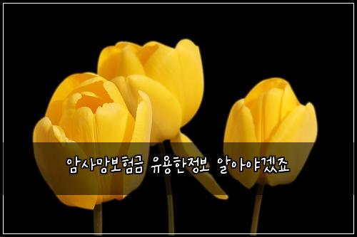 암사망보험금 유용한정보 알아야겠죠
