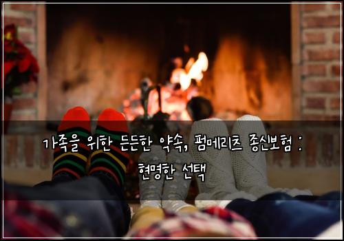 가족을 위한 든든한 약속, 펌메리츠 종신보험 : 현명한 선택