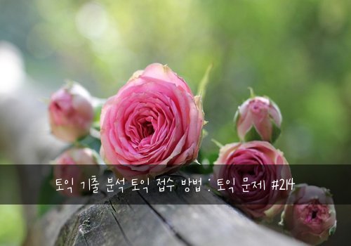 토익 기출 분석 토익 접수 방법 : 토익 문제 #214