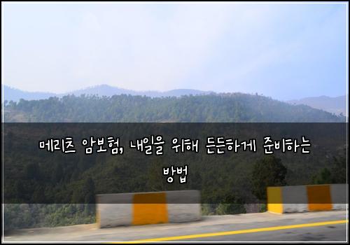 메리츠 암보험, 내일을 위해 든든하게 준비하는 방법