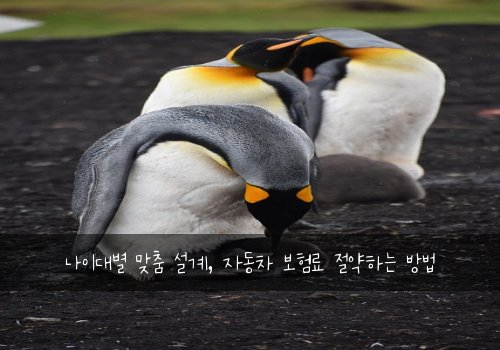  나이대별 맞춤 설계, 자동차 보험료 절약하는 방법