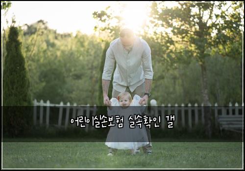 어린이실손보험 실속확인  갤