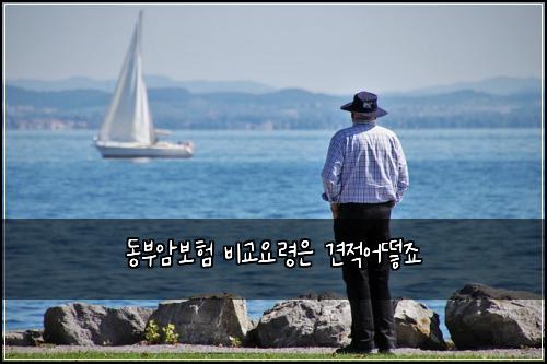 ๋๋ถ์๋ณดํ ๋น๊ต์๋ น์ ๊ฒฌ์ ์ด๋ป์ฃ