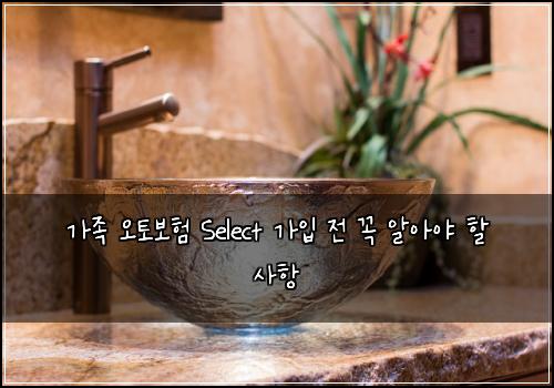 가족 오토보험 Select 가입 전 꼭 알아야 할 사항