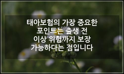 오늘의 이미지