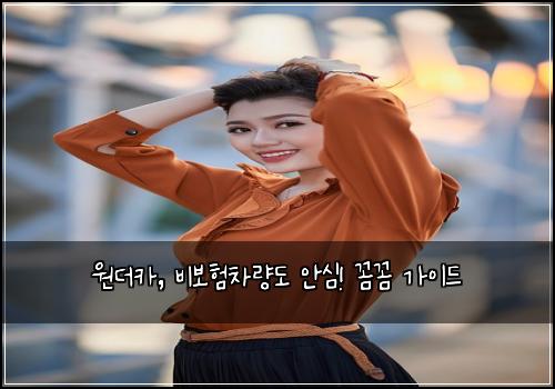 원더카, 비보험차량도 안심! 꼼꼼 가이드