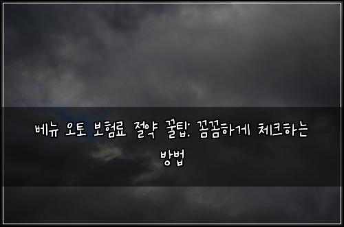 베뉴 오토 보험료 절약 꿀팁: 꼼꼼하게 체크하는 방법