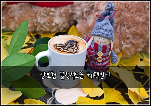 암보험 결정적도움  혜택받기