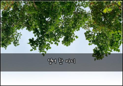 영어 한 마디