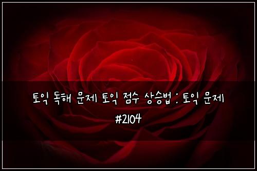 토익 독해 문제 토익 점수 상승법 : 토익 문제 #2104