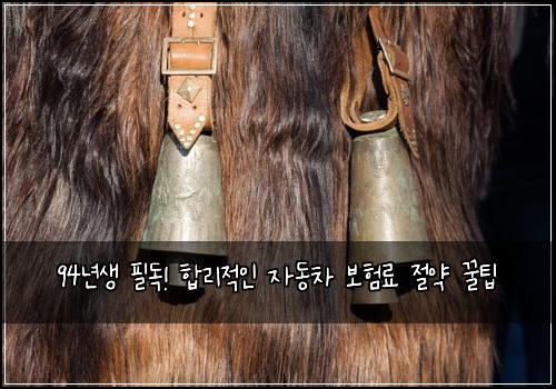 94년생 필독! 합리적인 자동차 보험료 절약 꿀팁