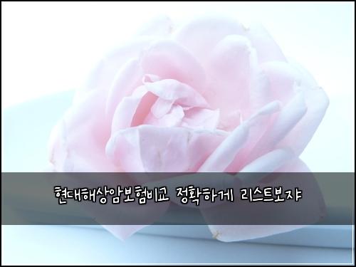 ํ๋ํด์์๋ณดํ๋น๊ต ์ ํํ๊ฒ ๋ฆฌ์คํธ๋ณด์