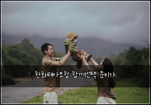 ํํํ์๋ณดํ ํจ๊ป์ ํ ์ค๋น๊ฐ