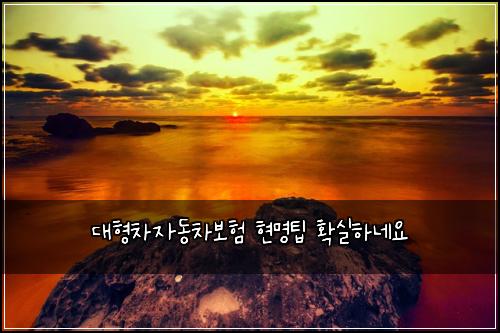 ๋ํ์ฐจ์๋์ฐจ๋ณดํ ํ๋ช
ํ ํ์คํ๋ค์