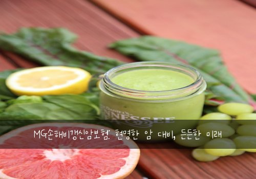 MG손해비갱신암보험: 현명한 암 대비, 든든한 미래