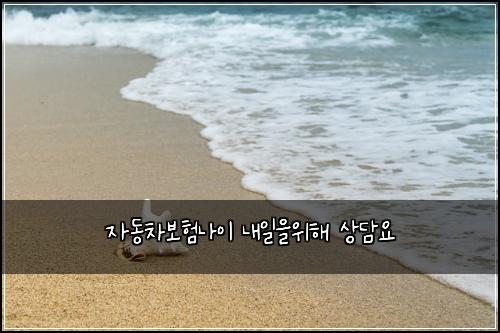 μλ차보νλμ΄ λ΄μΌμμν΄ μλ΄μ