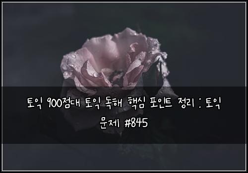 토익 900점대 토익 독해 핵심 포인트 정리 : 토익 문제 #845