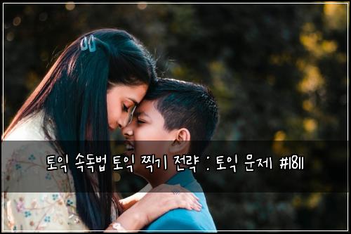 토익 속독법 토익 찍기 전략 : 토익 문제 #1811