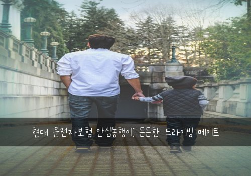 현대 운전자보험 안심동행이: 든든한 드라이빙 메이트