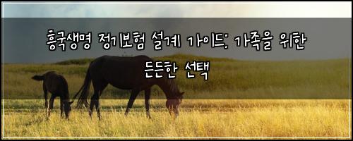 흥국생명 정기보험 설계 가이드: 가족을 위한 든든한 선택