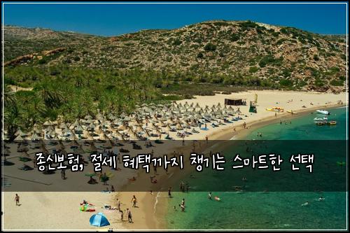 종신보험, 절세 혜택까지 챙기는 스마트한 선택