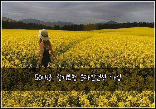 50๋์ด ์ ๊ธฐ๋ณดํ ์จ๋ผ์ธ๊ฒฌ์ ๊ฐ์