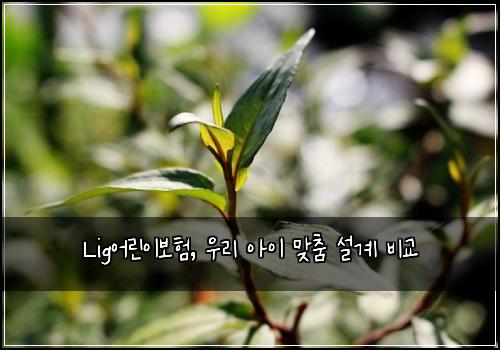 Lig어린이보험, 우리 아이 맞춤 설계 비교