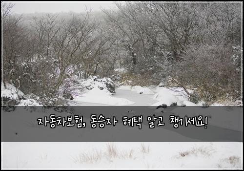 자동차보험, 동승자 혜택 알고 챙기세요!