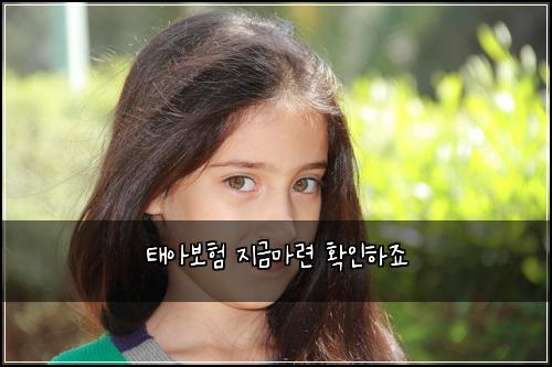 νμ보ν μ§κΈλ§λ ¨ νμΈνμ£