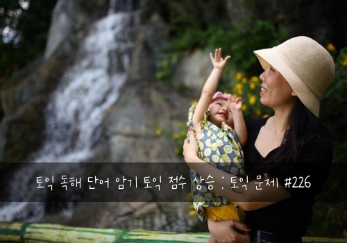 토익 독해 단어 암기 토익 점수 상승 : 토익 문제 #226