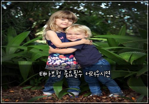 태아보험 중요필수  어려우시면