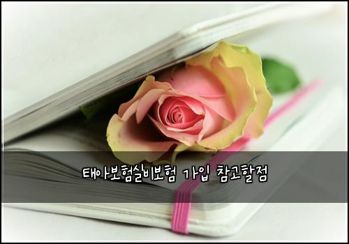 태아보험실비보험 가입 참고할점