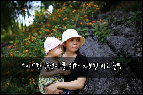  스마트한 운전자를 위한 차보험 비교 꿀팁