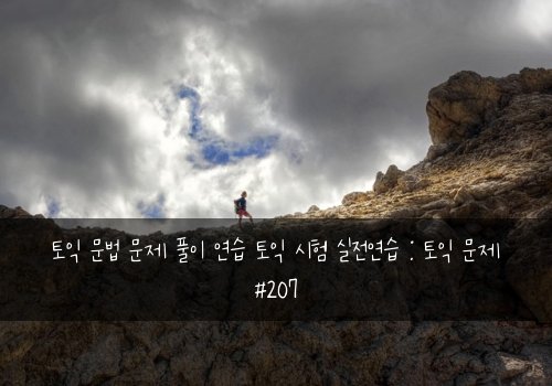 토익 문법 문제 풀이 연습 토익 시험 실전연습 : 토익 문제 #207