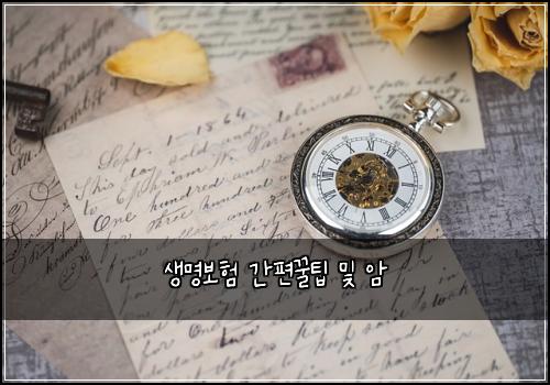 생명보험 간편꿀팁  및 암