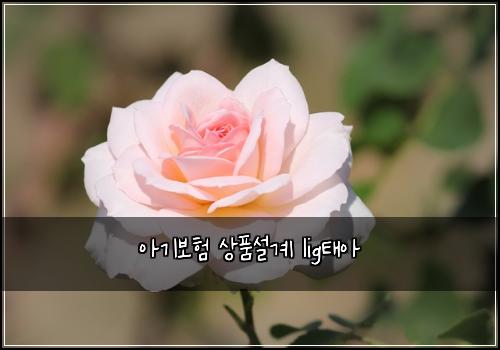 아기보험 상품설계  lig태아