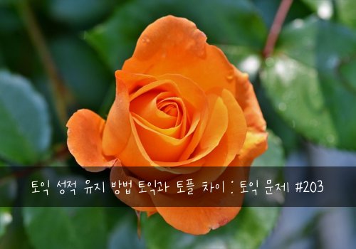 토익 성적 유지 방법 토익과 토플 차이 : 토익 문제 #203