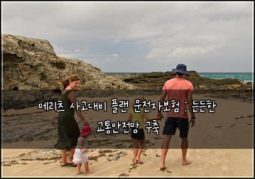메리츠 사고대비 플랜 운전자보험 : 든든한 교통안전망 구축