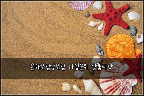 손해보험암보험 가입순위 상품파악