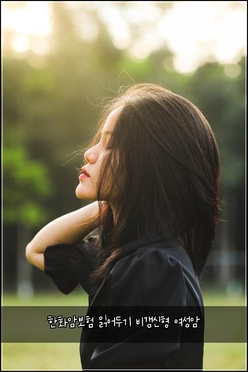 ํํ์๋ณดํ ์ฝ์ด๋๊ธฐ ๋น๊ฐฑ์ ํ ์ฌ์ฑ์