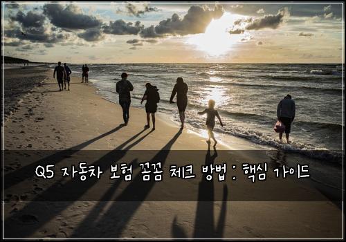Q5 자동차 보험 꼼꼼 체크 방법 : 핵심 가이드