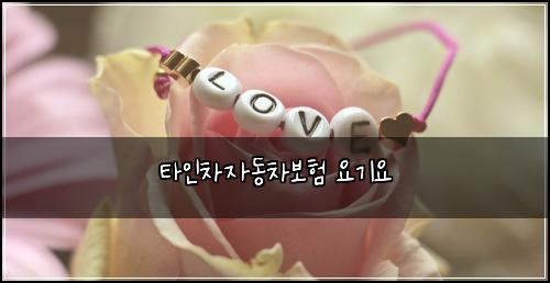 ํ์ธ์ฐจ์๋์ฐจ๋ณดํ ์๊ธฐ์