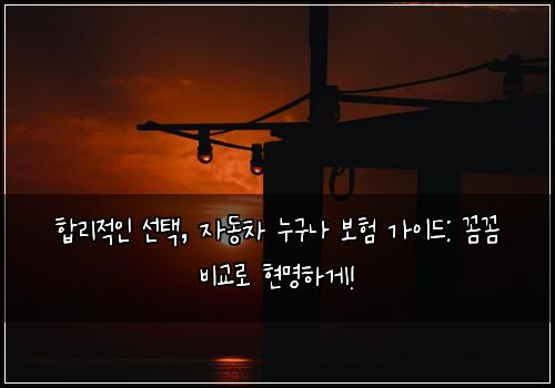  합리적인 선택, 자동차 누구나 보험 가이드: 꼼꼼 비교로 현명하게!