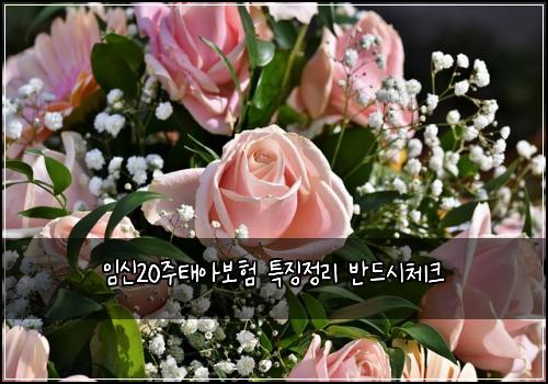 임신20주태아보험 특징정리  반드시체크