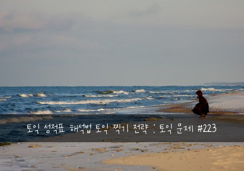 토익 성적표 해석법 토익 찍기 전략 : 토익 문제 #223