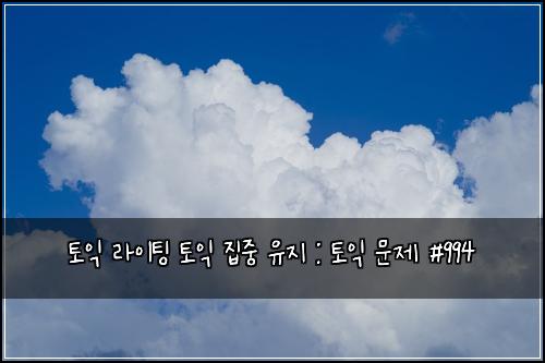 토익 라이팅 토익 집중 유지 : 토익 문제 #994