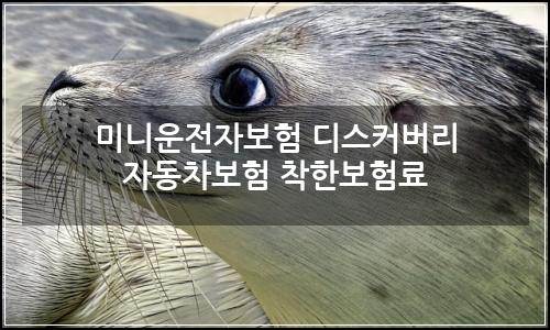 오늘의 이미지