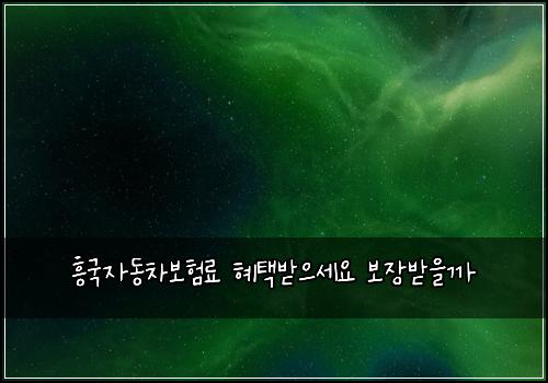 흥국자동차보험료 혜택받으세요 보장받을까